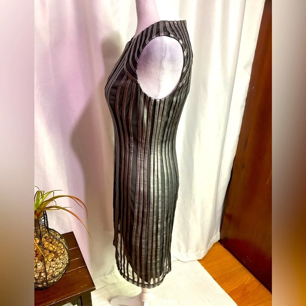 Cache Pewter Dress - Picture 5 of 14